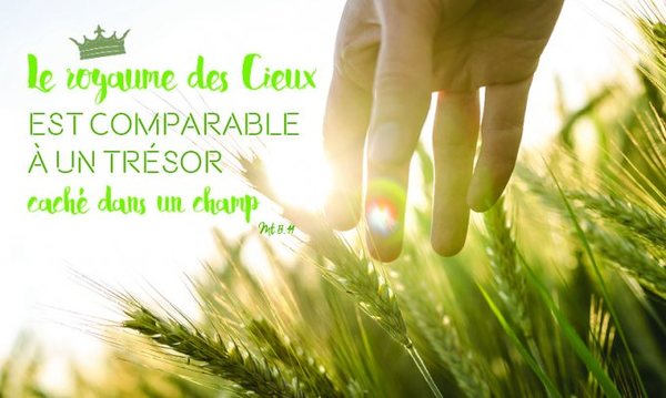 Les Paroles De Saint Matthieu 13 : 11