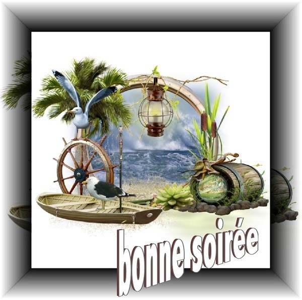 Bonne Soirée mes Ami(e)s