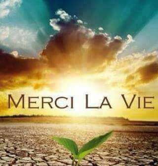 Citations Du Jour