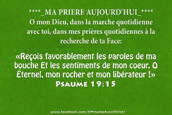 Psaume 19 : 15