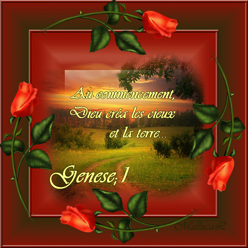 message de rencontre sur le net