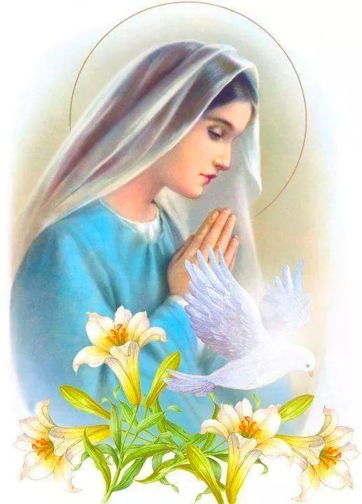 Photo de Sainte Vierge Marie